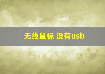 无线鼠标 没有usb